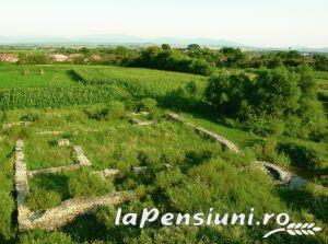 Pensiunea Foisor - accommodation in  Banat (Surrounding)