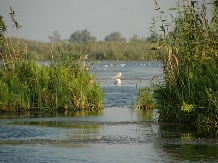 Pensiunea Pike Inn - cazare Delta Dunarii (04)