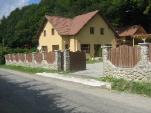 Pensiunea Izvorul Caprioarei - accommodation in  Fagaras and nearby (01)