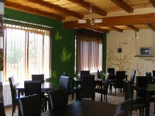 Pensiunea Izvorul Caprioarei - accommodation in  Fagaras and nearby (02)