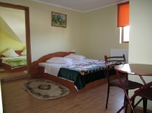 Pensiunea Izvorul Caprioarei - accommodation in  Fagaras and nearby (04)