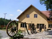 Pensiunea Izvorul Caprioarei - accommodation in  Fagaras and nearby (06)