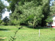 Pensiunea Insula Nada Apelor - alloggio in  Delta del Danubio (06)