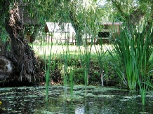 Pensiunea Insula Nada Apelor - accommodation in  Danube Delta (09)