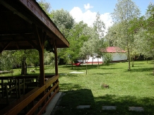 Pensiunea Insula Nada Apelor - accommodation in  Danube Delta (26)