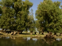 Pensiunea Insula Nada Apelor - accommodation in  Danube Delta (42)