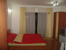 Vila Sara - accommodation in  Banat (11)