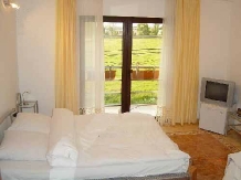 Vila Sara - accommodation in  Banat (12)