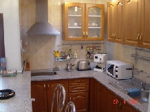 Vila Sara - accommodation in  Banat (15)