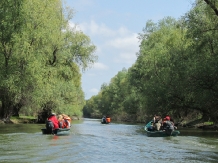 Pensiunea Delta Travel - alloggio in  Delta del Danubio (05)