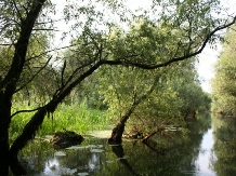 Pensiunea Delta Travel - accommodation in  Danube Delta (07)