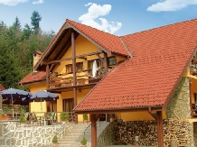 Pensiunea Cartisoara - accommodation in  Fagaras and nearby, Transfagarasan, Balea (11)