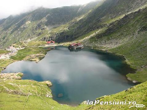 Pensiunea Cartisoara - accommodation in  Fagaras and nearby, Transfagarasan, Balea (Surrounding)