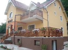 Pensiunea Casa Lucas - alloggio in  Dintorni di Sibiu (02)