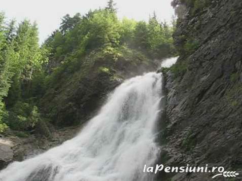 Pensiunea Suciu - alloggio in  Apuseni, Valea Draganului (Attivit&agrave; e i dintorni)