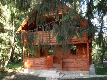 Cabana Dacilor - accommodation in  Apuseni Mountains, Belis (14)