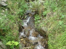 Cabana Bulzuireana - alloggio in  Apuseni, Valea Draganului (07)