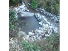 Cabana Bulzuireana - alloggio in  Apuseni, Valea Draganului (12)