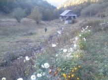 Cabana Bulzuireana - alloggio in  Apuseni, Valea Draganului (14)