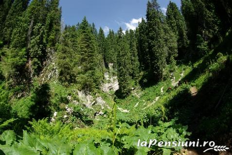 Cabana Bulzureana - alloggio in  Apuseni, Valea Draganului (Attivit&agrave; e i dintorni)