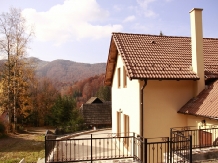 Pensiunea Lacramioara - accommodation in  Harghita Covasna (16)