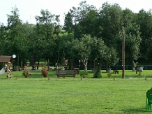 Pensiunea La Moara - alloggio in  Harghita Covasna (26)