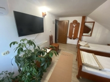 Pensiunea Kiss - accommodation in  Transylvania (26)