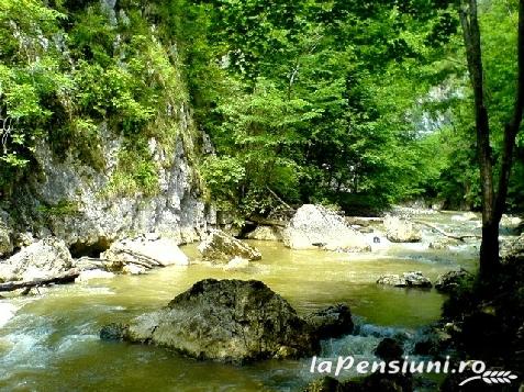 Pensiunea Kiss - accommodation in  Transylvania (Surrounding)