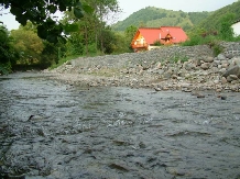Pensiunea Andreea - alloggio in  Apuseni, Valea Draganului (15)