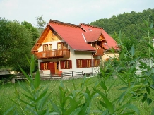 Pensiunea Andreea - alloggio in  Apuseni, Valea Draganului (16)