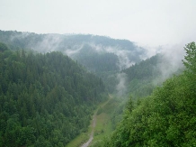 Pensiunea Andreea - alloggio in  Apuseni, Valea Draganului (18)