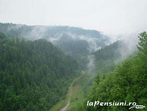 Pensiunea Andreea - alloggio in  Apuseni, Valea Draganului (Attivit&agrave; e i dintorni)
