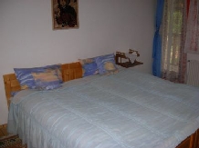 Pensiunea Mariana - accommodation in  Apuseni Mountains, Belis (03)