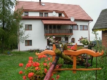 Pensiunea Mariana - accommodation in  Apuseni Mountains, Belis (06)