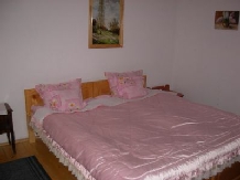 Pensiunea Mariana - accommodation in  Apuseni Mountains, Belis (07)
