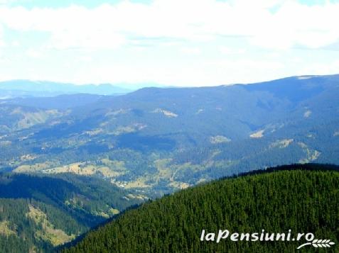 Pensiunea Domeniul Regilor - accommodation in  Apuseni Mountains (Surrounding)