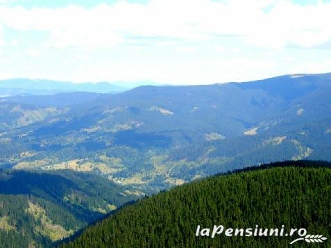 Pensiunea Domeniul Regilor - alloggio in  Apuseni (Attivit&agrave; e i dintorni)