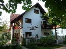 Rural accommodation at  Casa din Parc