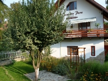 Casa din Parc - alloggio in  Harghita Covasna (06)