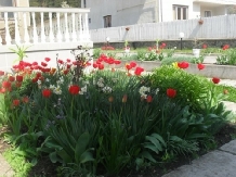Casa Enea - cazare Harghita Covasna (05)