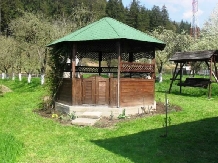 Casa Enea - cazare Harghita Covasna (14)