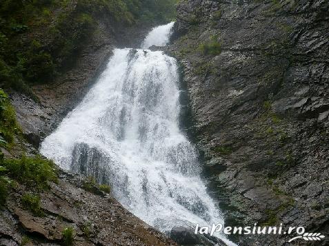 Pensiunea Rom Concord - accommodation in  Apuseni Mountains, Belis (Surrounding)