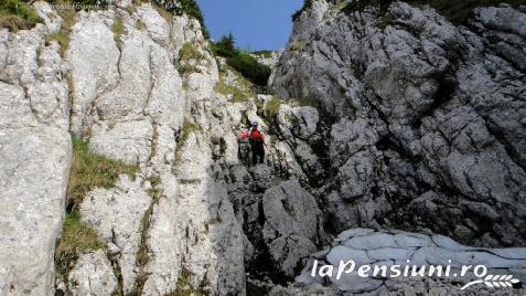 Pensiunea Rom Concord - alloggio in  Apuseni, Belis (Attivit&agrave; e i dintorni)