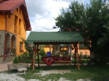 Pensiunea Andreea Baia de Fier - accommodation in  North Oltenia (04)