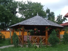 Pensiunea Andreea Baia de Fier - accommodation in  North Oltenia (05)
