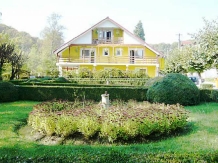 Pensiunea Mirela - accommodation in  Olt Valley (01)