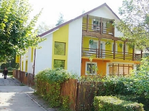 Pensiunea Mirela - accommodation in  Olt Valley (19)