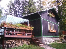 Vila Riciu - accommodation in  Prahova Valley (01)
