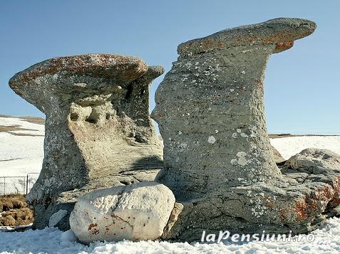 Vila Riciu - cazare Valea Prahovei (Activitati si imprejurimi)