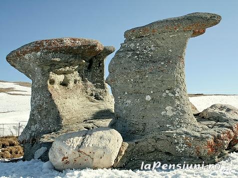 Vila Riciu - cazare Valea Prahovei (Activitati si imprejurimi)